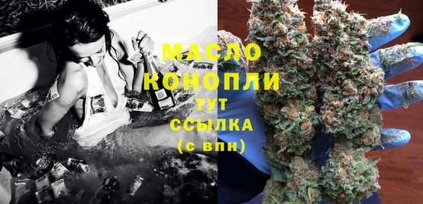 СК Алексин
