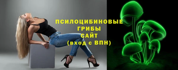 соль ск Алексеевка