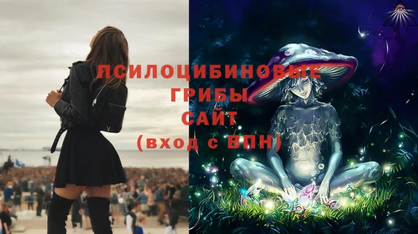 тгк Нефтегорск
