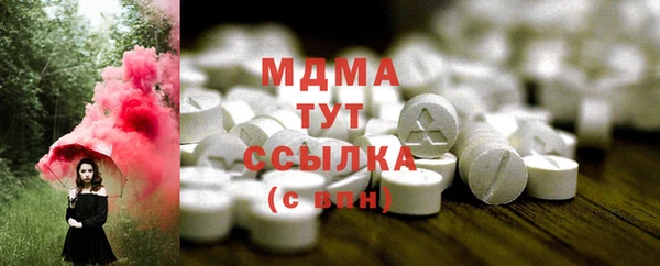 СК Алексин