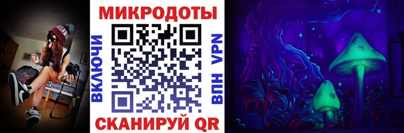 Купить закладки  Ворсма  Галлюциногенные грибы Psilocybe 